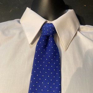 Paolo Albizzati Mens Silk Necktie Blue White Dots Tie Italy